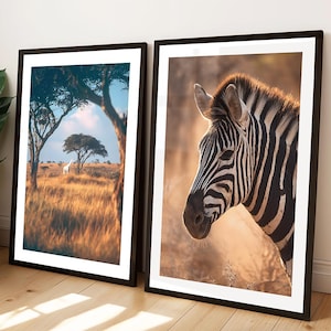 Pode incluir: Duas impressões de arte emolduradas. Uma apresenta uma girafa em uma paisagem de savana com árvores sob um céu azul. A outra é um close-up da cabeça de uma zebra, com listras pretas e brancas, em um fundo quente e dourado.