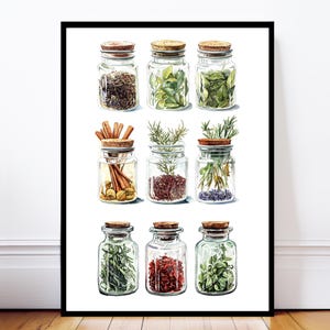 Pode incluir: Ilustração em aquarela de uma impressão emoldurada com nove frascos de vidro cheios de várias ervas e especiarias. Cada frasco tem uma tampa de cortiça. Os frascos contêm itens como paus de canela e alecrim. A obra de arte está em um fundo branco.