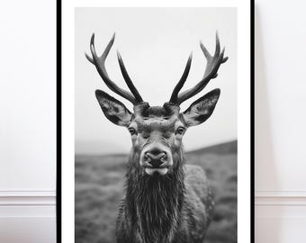 Highland Stag Print, Majestic Deer Poster, Wildlife Wall Art, Rustic Animal Home Decor