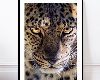 Fierce Leopard Wall Art Print, 2 Colours, Big Cat Animal Poster, Safari Inspired Home Decor