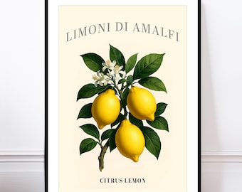 Amalfi Lemons Poster, Kitchen Print, Botanical Wall Art, Vintage Citrus Artwork for Dining Room