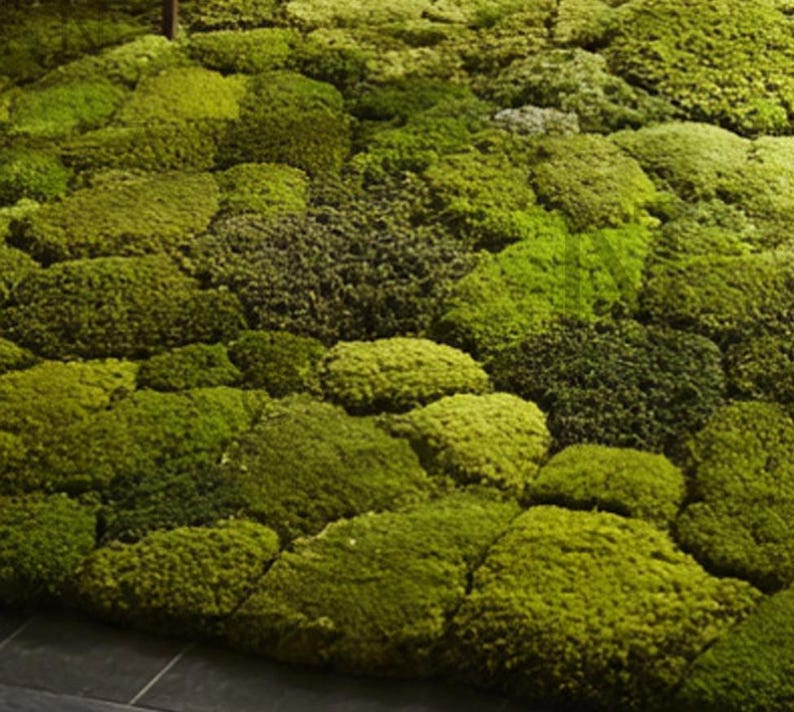 Wool Hand-tufted Botanical Rug Handmade Round Moss Rug Tufted Green ...