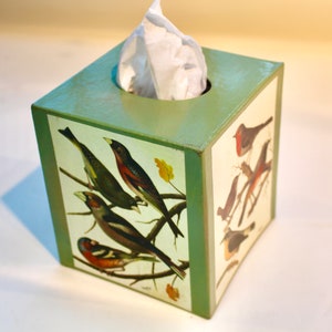 May include: A green tissue box cover with a square shape and a white tissue dispenser. The cover features a colorful illustration of birds on branches.