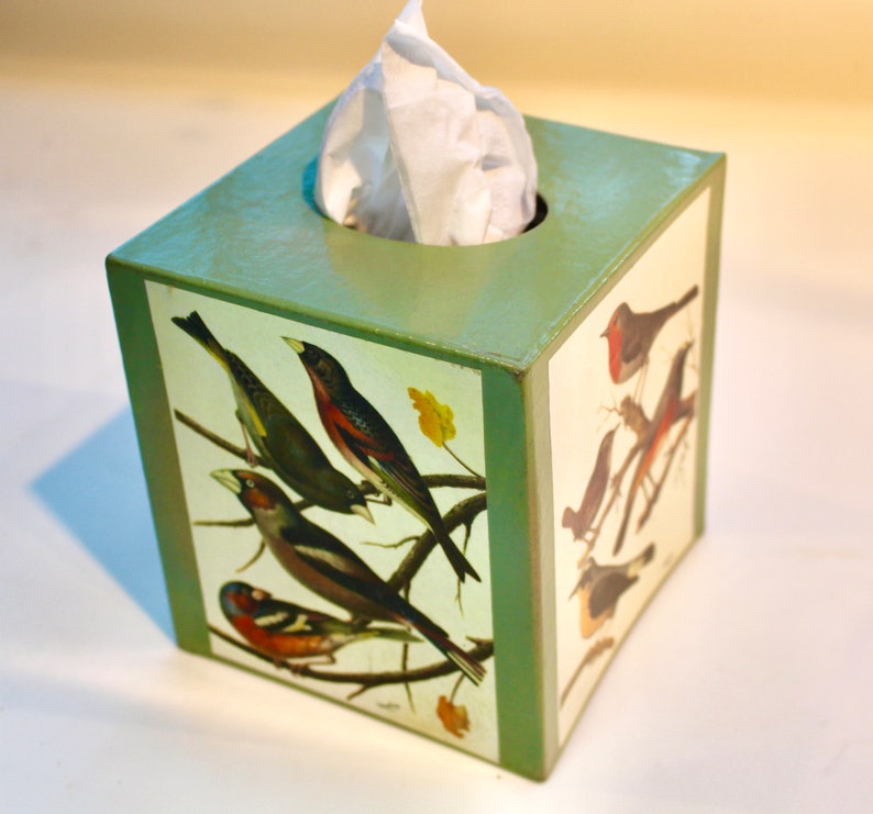 May include: A green tissue box cover with a square shape and a white tissue dispenser. The cover features a colorful illustration of birds on branches.