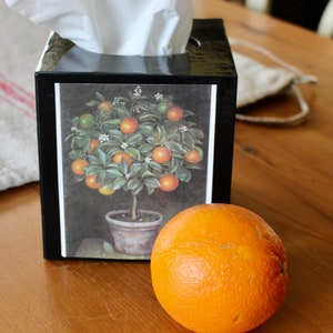 Orange Tree Tissue Box Cover