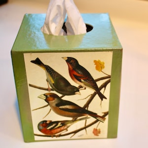 May include: Green tissue box cover with a colorful illustration of three birds on a branch. The birds are a red and black bird, a green and yellow bird, and a brown and white bird.