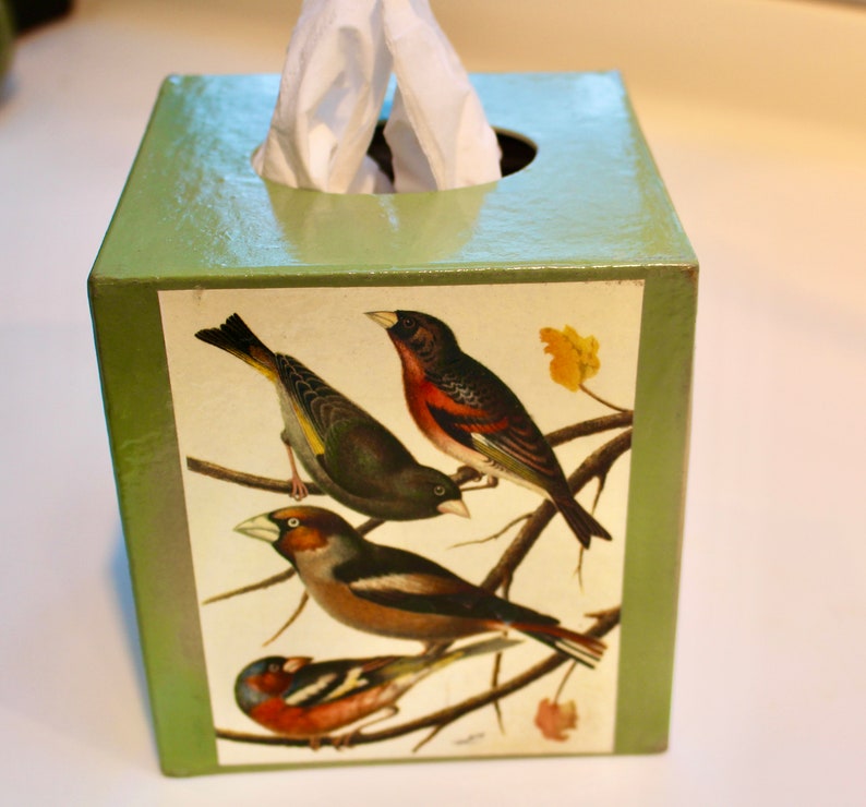 May include: Green tissue box cover with a colorful illustration of three birds on a branch. The birds are a red and black bird, a green and yellow bird, and a brown and white bird.