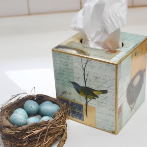 May include: A decorative tissue box cover with a blue and yellow bird design, a nest of blue eggs, and a handwritten script background.