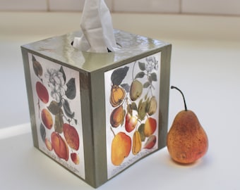 Apples and Pears Tissue Box Cover