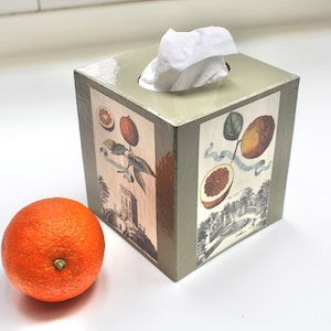 Volckamer Citrus Tissue Box Cover