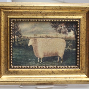 English sheep  -Early 18th Century