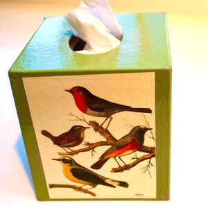 May include: A green tissue box cover with a colorful illustration of four birds on a branch. The birds are a robin, a wren, a bluebird, and a blackbird.