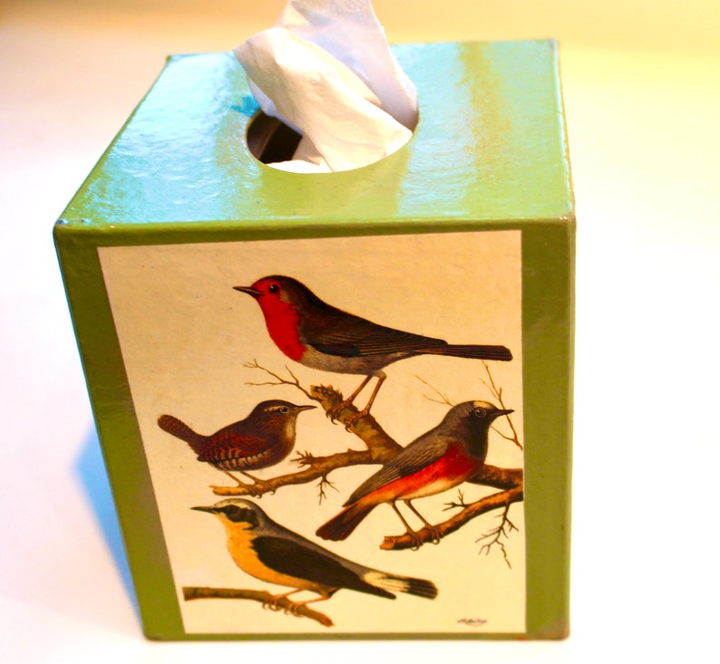 May include: A green tissue box cover with a colorful illustration of four birds on a branch. The birds are a robin, a wren, a bluebird, and a blackbird.