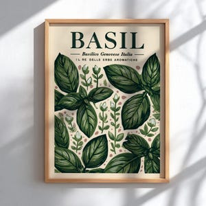 May include: A framed art print featuring a botanical illustration of basil leaves. The word "BASIL" is displayed at the top, with Italian text below. The leaves are various shades of green, set against a cream-colored background.