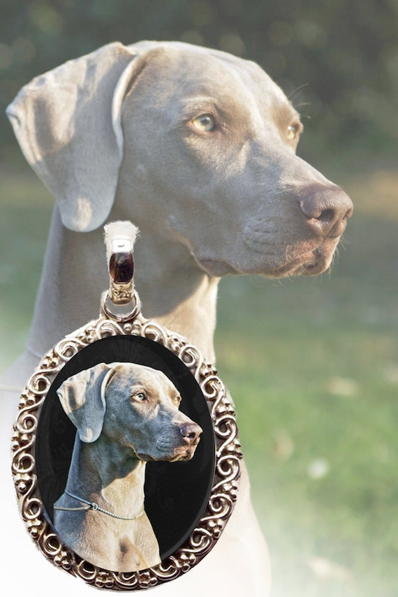 weimaraner necklace
