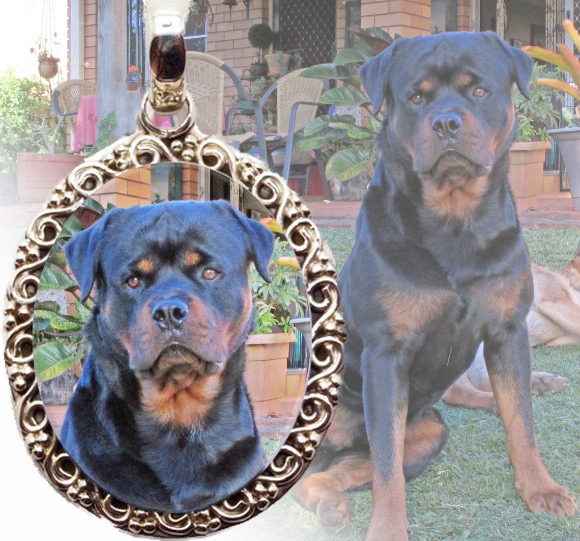 Personalized Rottweiler Sterling Silver Photo Necklace - Etsy
