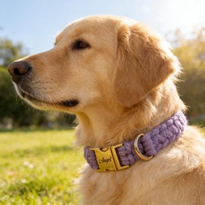 Collar de perro de algodón trenzado bohemio hecho a mano con etiqueta de nombre grabada personalizada.