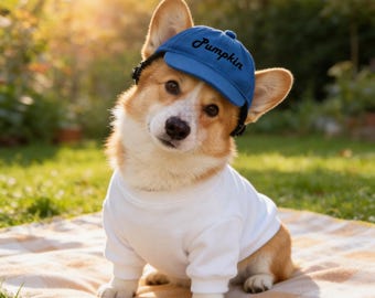 Personalized Dog Baseball Cap | Embroidered Cotton Pet Sun Hat