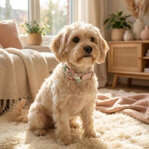 May include: A small, light-coloured dog wearing a pink leather collar with a floral design in shades of pink, green, and white. The dog is sitting on a white rug in a well-lit room. The collar is approximately 2.5 cm wide.