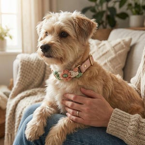 Puede incluir: Un perro pequeño y marrón claro con un collar de cuero rosa con un diseño floral de macramé en tonos verdes, rosas y blancos. El perro está sentado en el regazo de una persona. El collar tiene una hebilla dorada.