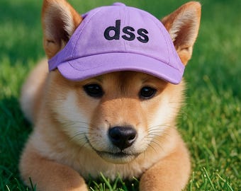 Casquette pour chien personnalisée avec nom | Chapeau brodé pour animal de compagnie | Jolie casquette de baseball pour chien | d'été réglable pour chien | Cadeau pour chien maman et papa