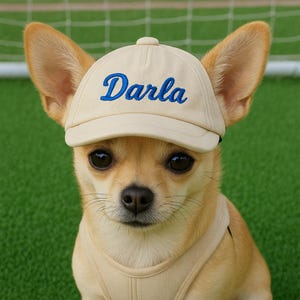 May include: A tan Chihuahua wearing a matching tan baseball cap with the name "Darla" embroidered in blue script. The dog is also wearing a tan harness. The background is a green field with a soccer net.