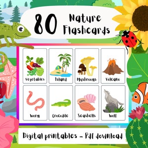 Children&#39;s Educational Nature Flashcards, 80 Colourful Flashcards, Printable Pdf Download