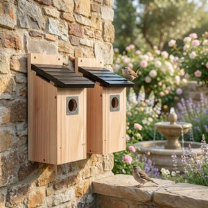 Könnte beinhalten: Zwei Vogelhäuser aus Holz mit schwarzen Dächern sind an einer Steinmauer befestigt. Jedes Vogelhaus hat ein kreisförmiges Eingangsloch mit Metallverkleidung. Ein kleiner Vogel sitzt auf einem Vogelhaus, und ein anderer Vogel sitzt auf dem Steinsims darunter.