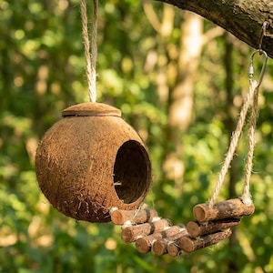 Può includere: Una casetta per uccelli sospesa fatta con un guscio di cocco, con un'apertura rotonda e un piccolo ponte di legno. La casetta è sospesa da una corda e appesa a un ramo d'albero, con un aspetto naturale e rustico.