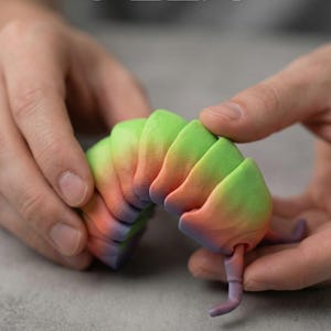 Regnbågsartifierande Pilbug Fidget-leksak | 3D-utskriven vickande isopod skrivbordskompis