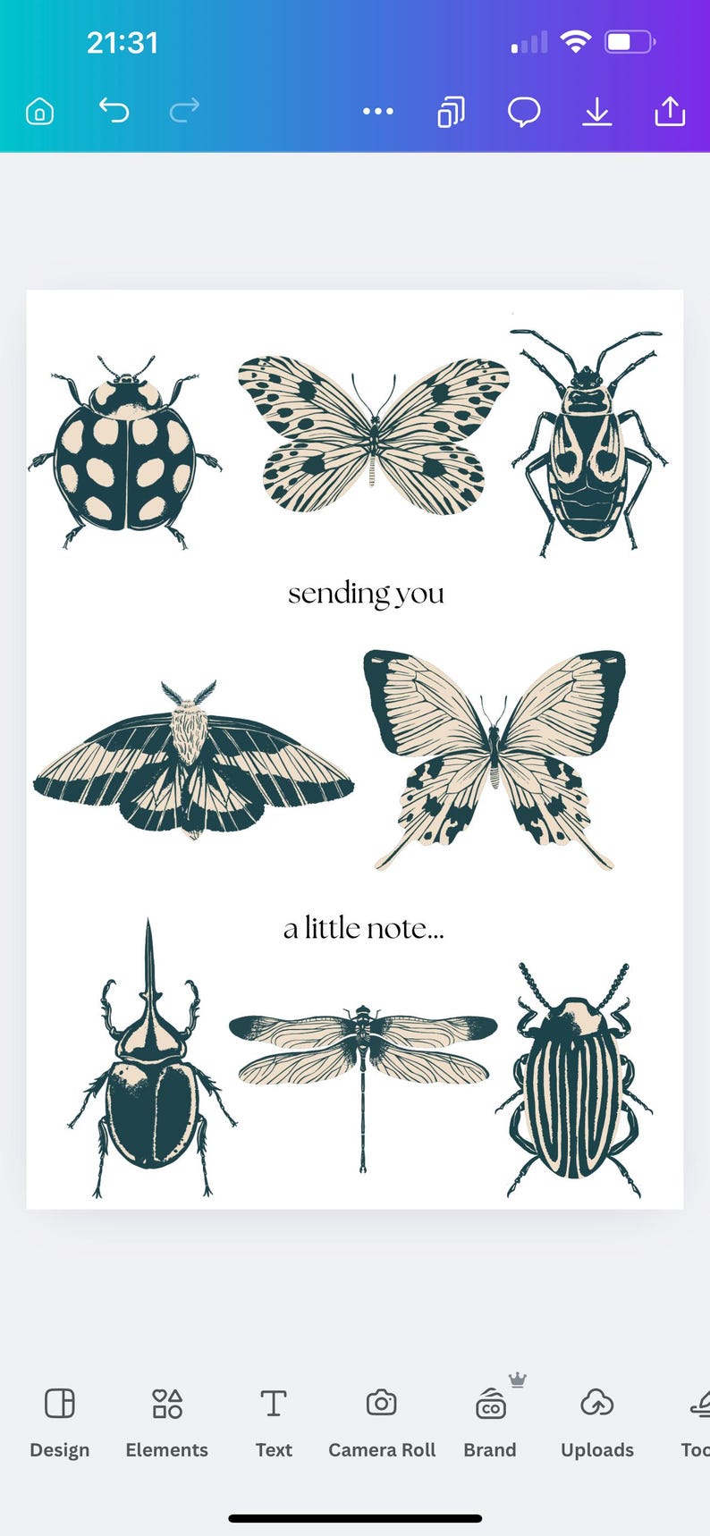 Bug Greeting Card, Thinking of You Card, Blank Card, Blank Bug Card ...