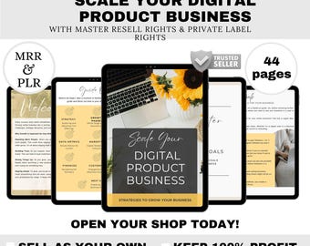 e-book numérique DPP professionnel | Modèle d'eBook modifiable sur Canva | Guide commercial en ligne, Revenu passif, Droits de revente, Outils pour entrepreneurs