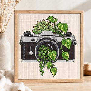 May include: A square cross-stitch embroidery in a light wood frame depicting a vintage camera. A green succulent sits on top of the camera body, while a trailing vine with variegated heart-shaped leaves and small round beads spills from the lens.