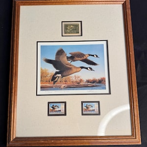 以下が含まれることがあります： 青い空を背景に、川の上を飛ぶ2羽のガチョウのプリントが特徴の額装されたアートワーク。アートワークには、ガチョウが描かれた2つと鳥が描かれた1つの切手が含まれています。フレームは木製です。