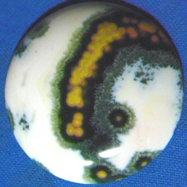 Ocean Jasper Cabochon  (726-V)