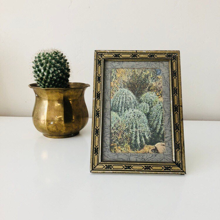 Vintage Gold Metal Frame 5x7 Black And With Cactus Vintage Gold Metal Frame 5 X7 Black And With Cactus Postcard Tabletop