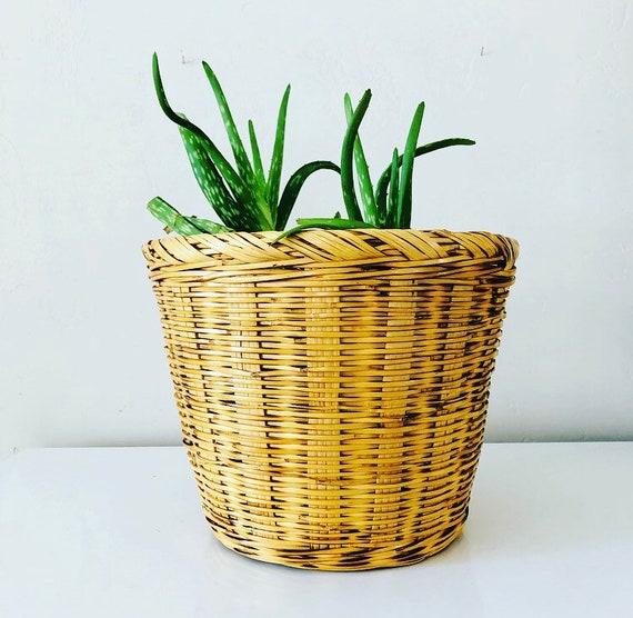 Vintage Rattan Basket Decorative Large Woven Wicker Plant Etsy