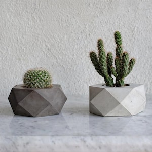 Peut inclure: Deux jardinières géométriques en béton, une grise foncée et une grise claire, chacune contenant un cactus. La jardinière grise foncée contient un cactus rond, tandis que la grise claire contient un cactus plus grand et épineux. Les jardinières sont posées sur une surface blanche.
