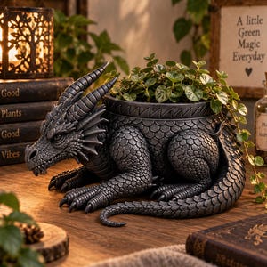 Peut inclure: Un pot de fleurs en forme de dragon gris foncé avec des écailles, des cornes et des griffes détaillées. Le dragon est en position accroupie avec une ouverture circulaire sur le dos contenant une petite plante verte retombante aux feuilles rondes.