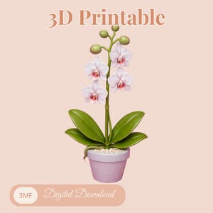 May include: A 3D printable digital download of a potted orchid. The orchid has white and pink flowers, green leaves, and a light pink pot filled with white pebbles. The text "3D Printable" and "Digital Download" are displayed.