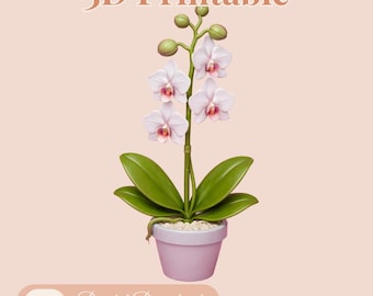 Phalaenopsis-Orchidee im Topf – 3MF-Datei zum Drucken – 3D-Modell einer Orchideenblüte für den 3D-Druck – Zimmerpflanzendekoration