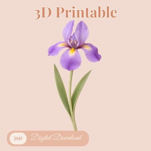3D Violet Iris - 3MF File Ready to Print - 3D Iris Flower Model for 3D Printing - Spring Floral Decoration, STL Flowers