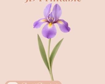 3D-Iris (violett) – 3MF-Datei, druckfertig – 3D-Irisblütenmodell für den 3D-Druck – Frühlingsblumendekoration, STL-Blumen