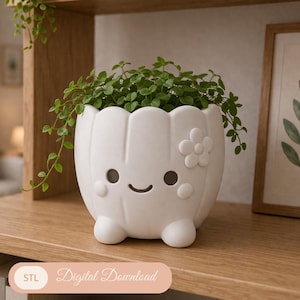 Pode incluir: Um vaso de cerâmica branco com um rosto sorridente e um desenho de flor, cheio de plantas verdes. O vaso tem uma forma arredondada e está sobre uma prateleira de madeira. O texto "Digital Download" é visível.