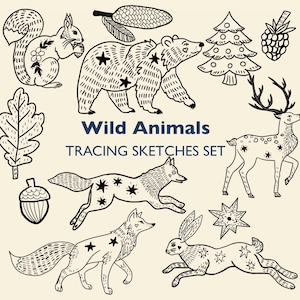 Puede incluir: Una colección de ilustraciones en blanco y negro de animales del bosque, incluyendo una ardilla, un oso, un ciervo, un zorro y un conejo. También se incluye el texto "Wild Animals Tracing Sketches Set".