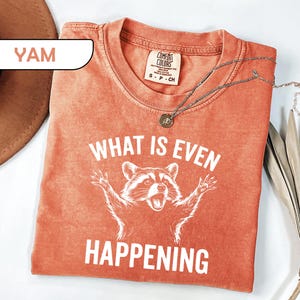 May include: A terracotta-colored t-shirt featuring a white graphic of a raccoon with its paws raised and the text "WHAT IS EVEN HAPPENING" printed in white. The shirt has a crew neckline and a tag indicating size small, made in Honduras.