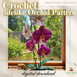 Levensecht gehaakt orchideepatroon | Middelgrote vlinderorchidee phalaenopsis pdf-zelfstudie | Realistisch gehaakt woondecoratie in pot
