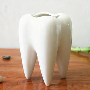 Peut inclure: Un vase blanc en céramique en forme de dent avec trois pieds en forme de racine. Le vase a une finition lisse et brillante et une ouverture incurvée en haut. Une petite pierre blanche de forme ovale est posée sur la surface en bois.