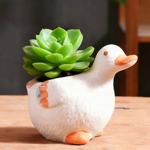 May include: A white ceramic duck planter with orange beak and feet, holding a vibrant green succulent plant. The duck-shaped pot has painted details and sits on a wooden surface, creating a charming decorative piece for home or garden.