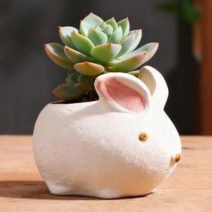 Könnte beinhalten: Ein weißer Keramik-Hasen-Pflanztopf mit einer Sukkulentenpflanze. Der Hasen-Pflanztopf hat rosa Innenohren und kleine goldfarbene Akzente für Augen und Nase. Die Sukkulente hat grüne und rötlich-rosa Blätter.